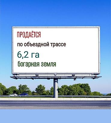 богара: 600 соток, Для бизнеса — 1