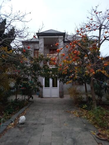 Uzunmüddətli kirayə mənzillər: 5 otaqlı, 160 kv. m, Orta təmir