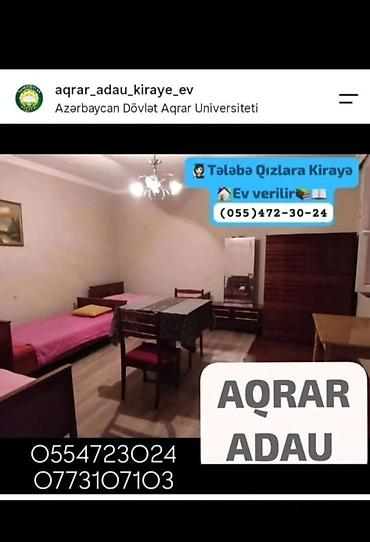 Аренда комнат: Yalnız tələbə qızlar üçün kirayə otaqlar – ADAU/Aqrar Universitetinə — 5