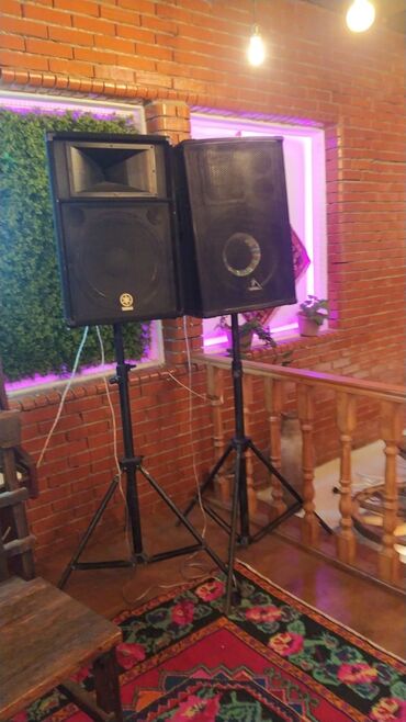 Səs gücləndiriciləri: Tək Və Cüt Komplektlerin — 20