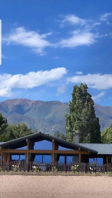 Продажа квартир: 1 комната, 19 м² — 7