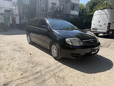 таота филдер: Toyota Corolla: 2003 г., 1.5 л, Автомат, Бензин, Универсал — 1