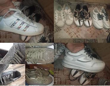 Krasofkalar və idman ayaqqabıları: Adidas orjinal poma [her biri 10 ] 39_40 ölçü qalanlar 3 ededi 10 — 9