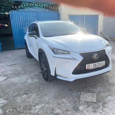 Lexus: Lexus NX: 2017 г., Кроссовер — 13