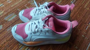 champions patike: Puma, 38, color - Multicolored