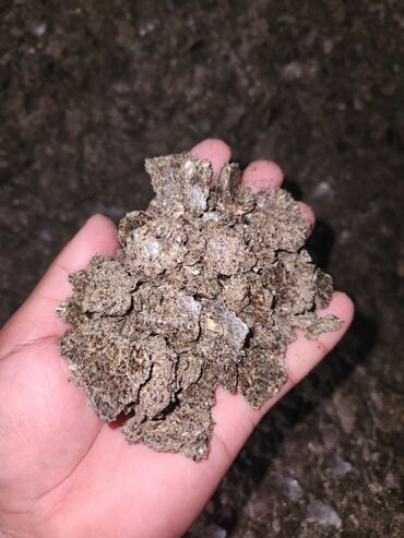 доберман собака цена: Сафлор кунжара (Сафлорной жмых)