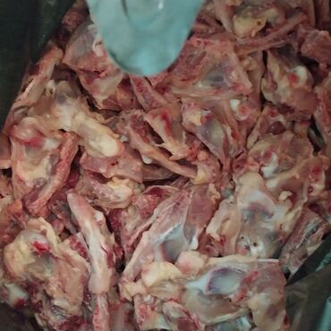 домик для собак: It yemi. Toyuqun Qabirga ve Bud sumuyu, Toyuq farji. Toyuq qanad