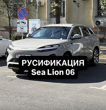 прошивка ps: Русификация авто, Китай, BYD — 1