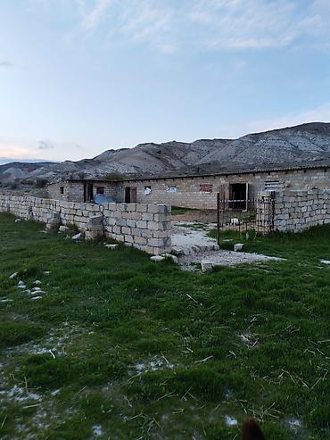 cülyan kəndi: Kənd təsərrüfatı, Kupça (Çıxarış), Müqavilə — 5