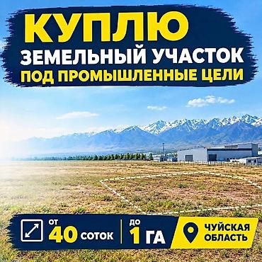 Куплю земельный участок под промышленные цели. Требования: - Площадь at lalafo.kg Куплю земельный участок под промышленные цели. Требования: - Площадь