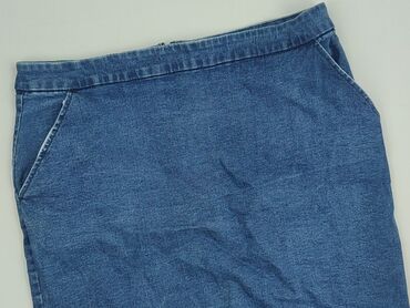 spódnice plisowane tommy hilfiger: Women`s skirt, size 2XL (EU 44)