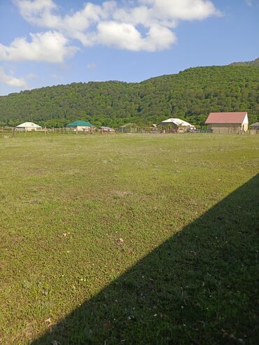 Torpaq sahələrinin satışı: 30 sot, Tikinti, Mülkiyyətçi, Kupça (Çıxarış) — 15