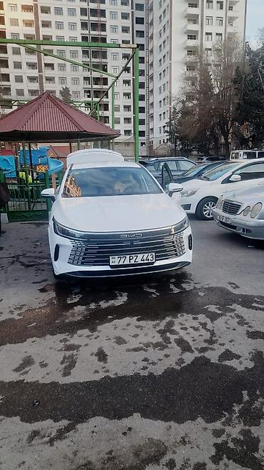 byd satisi: Arenda BYD Qin Plus DM-i sedan - Kuzov: ağ rəng, aerodinamik fastback — 1
