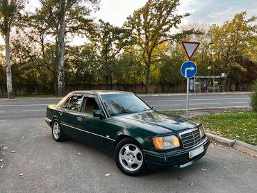 мерседес эс класс: Mercedes-Benz W124: 1995 г., 2 л, Механика, Бензин, Седан