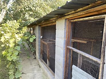 участок моловодный: Продается жилой дом, находящийся по адресу: г. Манас (Жалал-Абад) — 5