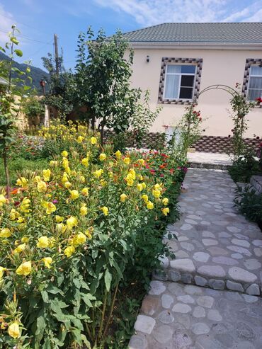 Bağ evlərinin kirayəsi: 110 kv. m, 3 otaqlı, İnternet, Qaz, Su — 3