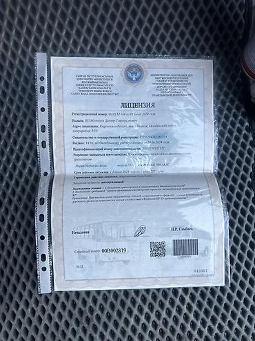 bus: Пассажирский микроавтобус VIP-класса для поездок и трансферов — 5