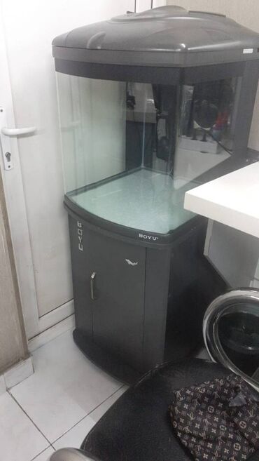 той пудель цена: Akvarum 128 litir, Bio filtir agvel kapresor pompa su deyismeye sacok