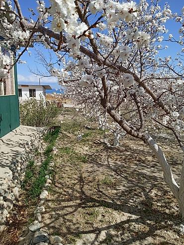 Продажа коттеджей и домов: Срочно продается 2- х этажный пансионат со всем имуществом на ЮЖНОМ — 15