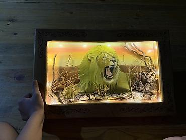 diorama: Unikal dekorativ işıqlandırılan tablo – “Şir” mövzulu diorama - — 2