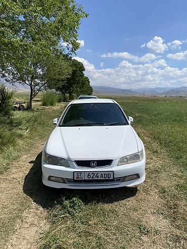 bmw e29: Honda Accord: 2001 г. — 4