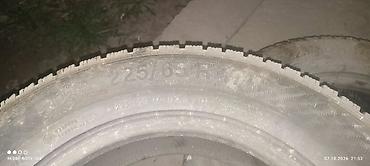 v2: Зимние шины Bridgestone Blizzak DM‑V2 (серия Ice/Arduzza по боковине) — 2