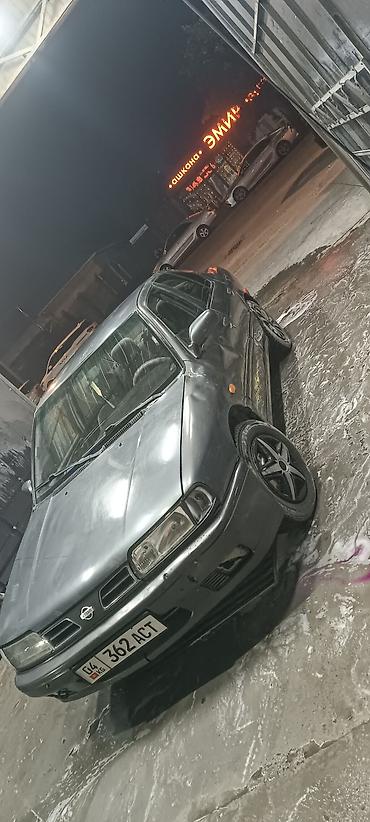primera p10: Nissan Primera: 1995 г., Седан — 5