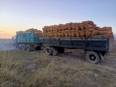 Грузовики: Грузовик, Камаз, Стандарт, 7 т, Б/у — 17