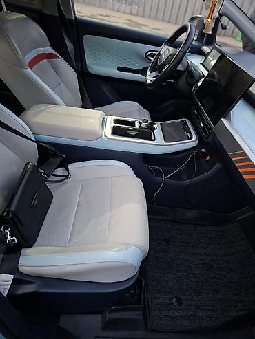 BYD: BYD : 2022 г., Автомат, Электромобиль, Кроссовер — 8