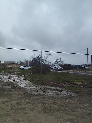 Torpaq sahələrinin satışı: 10 sot, Tikinti — 6