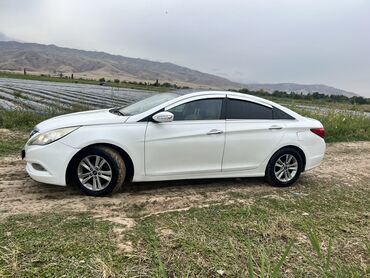 Hyundai: Hyundai Sonata: 2009 г., 2 л, Автомат, Бензин, Седан