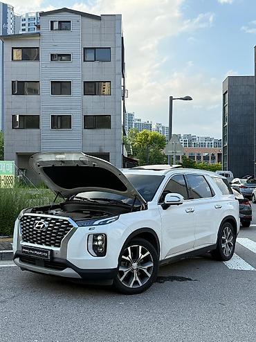 argb controller: Hyundai Palisade: 2020 г., 2.2 л, Автомат, Дизель, Кроссовер — 1