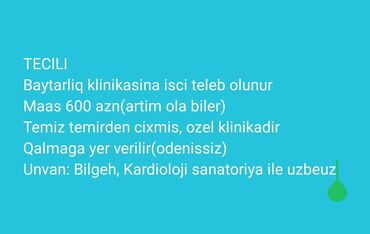 gunluk is elanlari 2022: Təcili! Baytarlıq klinikasına işçi tələb olunur. - Özəl, yeni