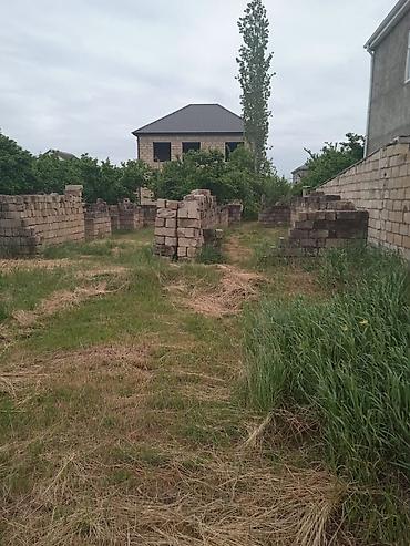yeni əmlak az: 4 sot, Tikinti, Kupça (Çıxarış) — 10