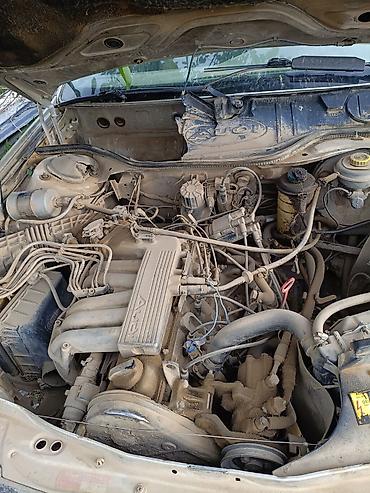 крыло для ауди: Audi 100: 1988 г., 2 л, Механика, Бензин, Седан — 1