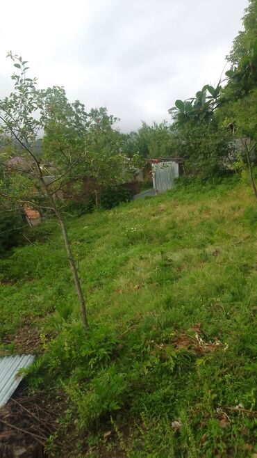 xacmazda satilan torpaqlar: 22 sot, Tikinti, Maklerlər narahat etməsin, Kupça (Çıxarış)