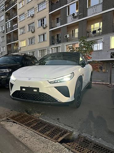 hozon: Hozon Neta L: 2024 г., 1.5 л, Автомат, Электромобиль, Кроссовер — 7