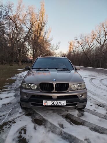 вмв капила: BMW X5: 2004 г., 4.4 л, Автомат, Бензин, Кроссовер