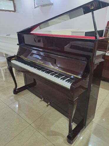 rostov don piano: Piano