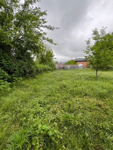 Torpaq sahələrinin satışı: 5 sot, Kənd təsərrüfatı -da lalafo.az — 10 Torpaq sahələrinin satışı: 5 sot, Kənd təsərrüfatı — 10