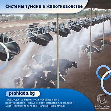 🌟 Системы туманообразования в животноводстве 🌟 🔥 Летние жаркие дни