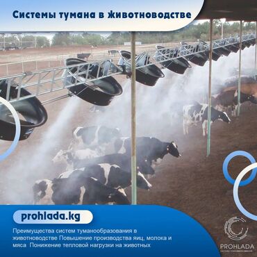 карго цена за кг турция кыргызстан: 🌟 Системы туманообразования в животноводстве 🌟 🔥 Летние жаркие дни