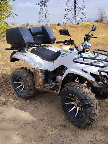 ямаха ф600: Квадроцикл Yamaha, Бензин, 250 куб. см, Взрослый — 4