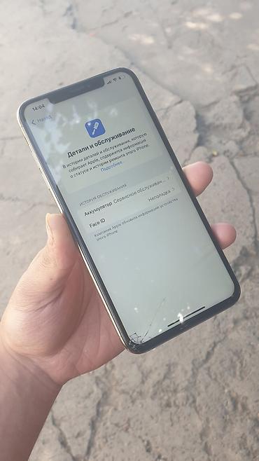 moza air: IPhone Xs, Новый, 64 ГБ, Золотой, Чехол, 73 % — 5