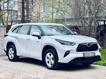 Toyota: Toyota Highlander: 2023 г., 2.5 л, Типтроник, Гибрид, Внедорожник