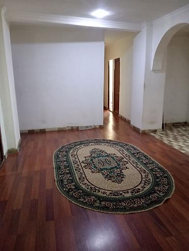 binede: Hostel,günlük ev 5manat. otaxda 3kravat var,1ədədin qiyməti — 3