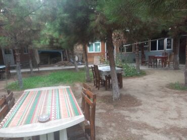 tap az ofisiant is elanlari: Ofisiant tələb olunur, Kafe, Gündəlik ödəniş, İstənilən yaş, Təcrübəsiz