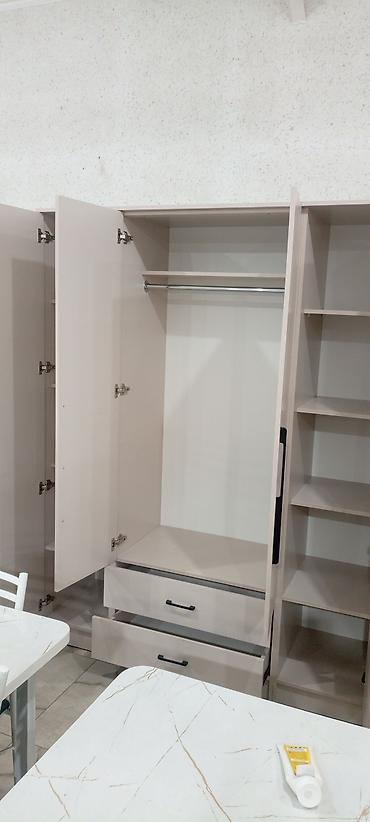 Шифоньеры, шкафы для одежды: Шифоньер, шкаф для одежды, Новый, Прямой, ЛДСП — 4