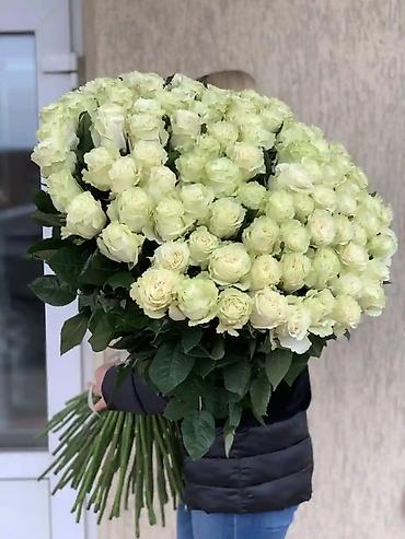 Организация мероприятий: Организация мероприятий | Букеты, флористика — 29