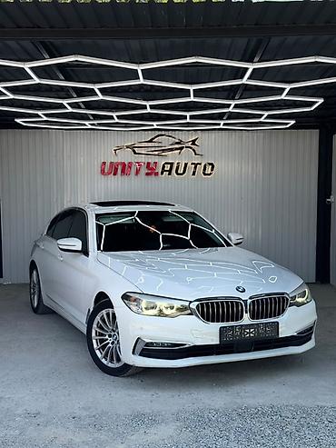 BMW 5 series: 2019 г., 2 л, Автомат, Бензин, Седан